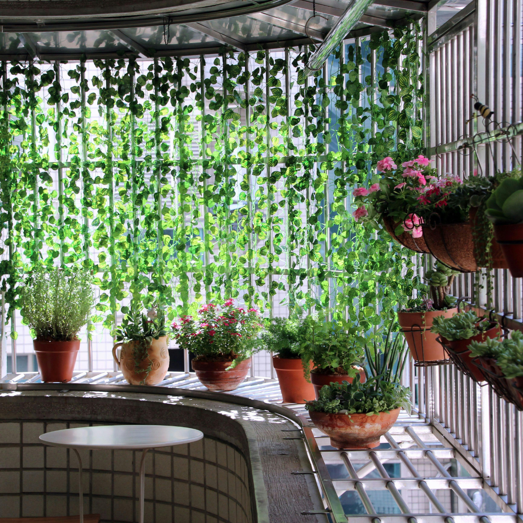 Como Criar uma Horta Orgânica em Casa: Guia para Iniciantes
