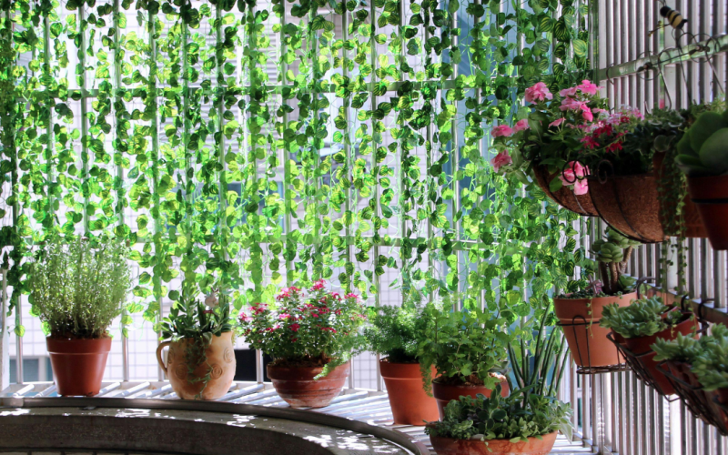 Como Criar uma Horta Orgânica em Casa: Guia para Iniciantes