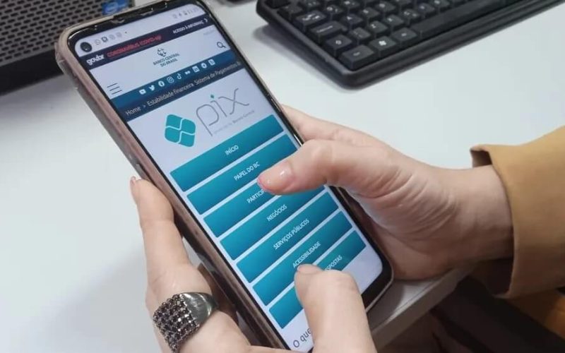 O Guia do Investidor Iniciante: Como e Onde Investir Seu Primeiro Dinheiro Sem Risco e Sem Medo